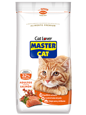 MASTER CAT SALMON 20 kg.
