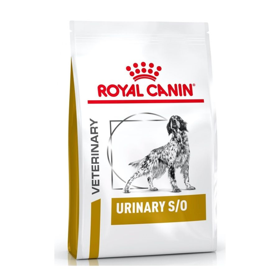 ROYAL CANIN DOG URINARY S/O