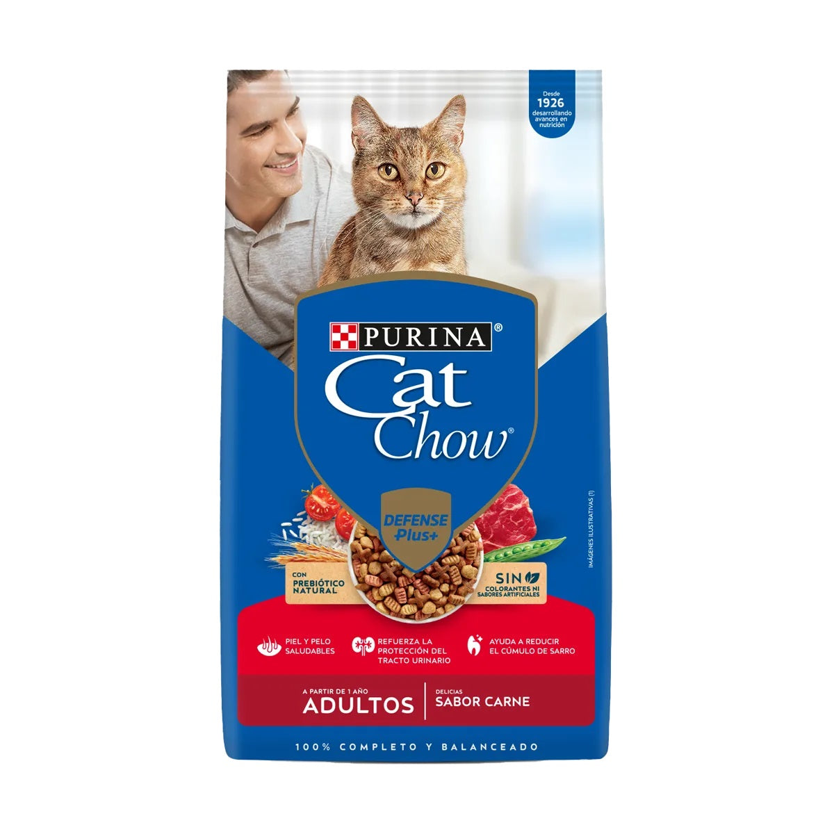 CAT CHOW ADULTOS DELICIAS SABOR CARNE