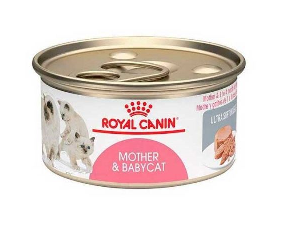 ROYAL CANIN CAT LATA MOTHER & BABYCAT 145 gr.