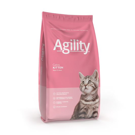 AGILITY CATS KITTEN