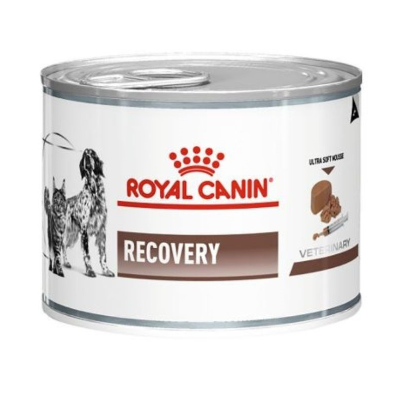 ROYAL CANIN LATA DOG RECOVERY RS 145 gr.