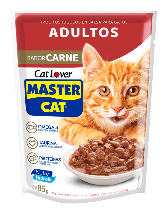 MASTER CAT POUCH TROCITOS EN SALSA CARNE 85 gr.