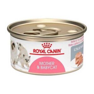ROYAL CANIN CAT LATA MOTHER & BABYCAT 145 gr.