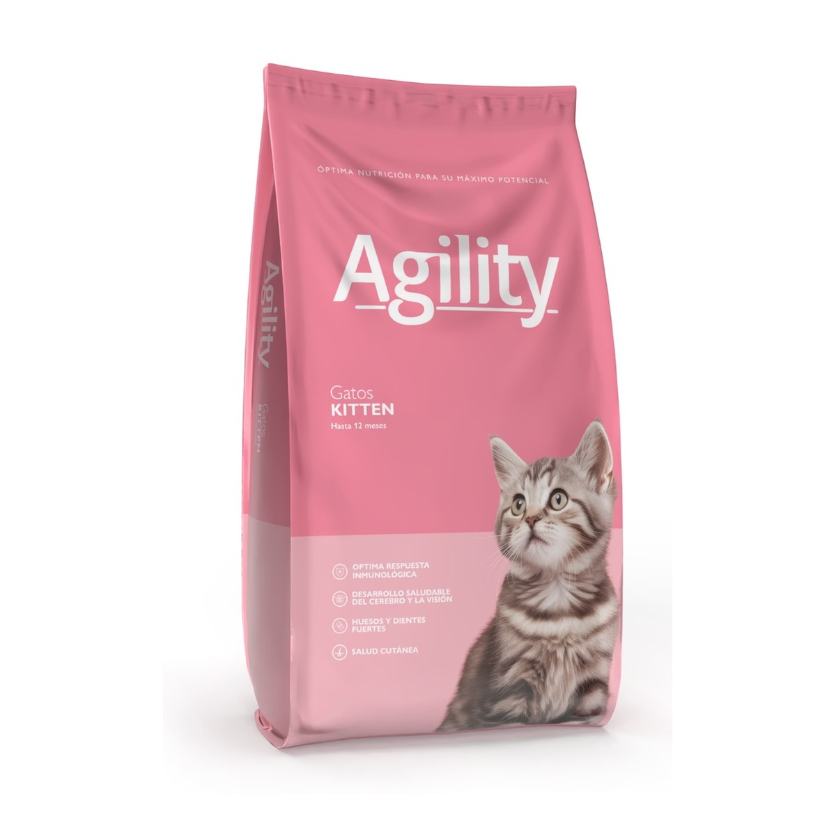AGILITY CATS KITTEN