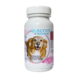 QUALYVIT HEPATO PROTECTOR - Comprimido masticable